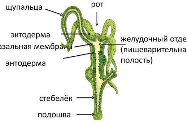 Kraken официальный сайт k2tor