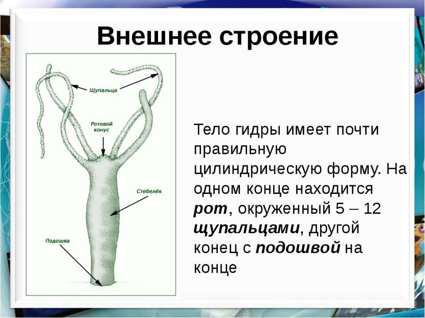 Как пополнить счет кракен